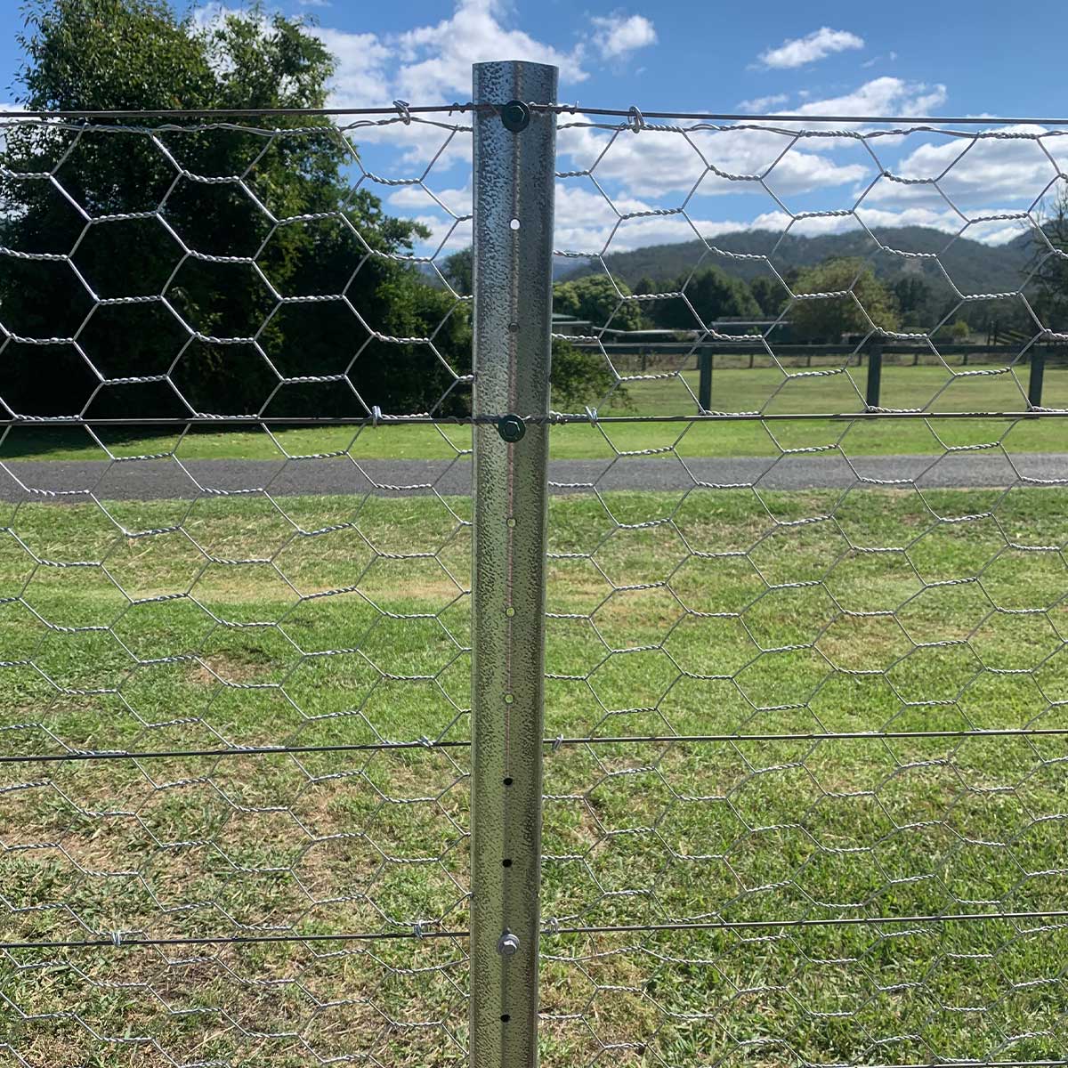 PickeX POLE STAR 450