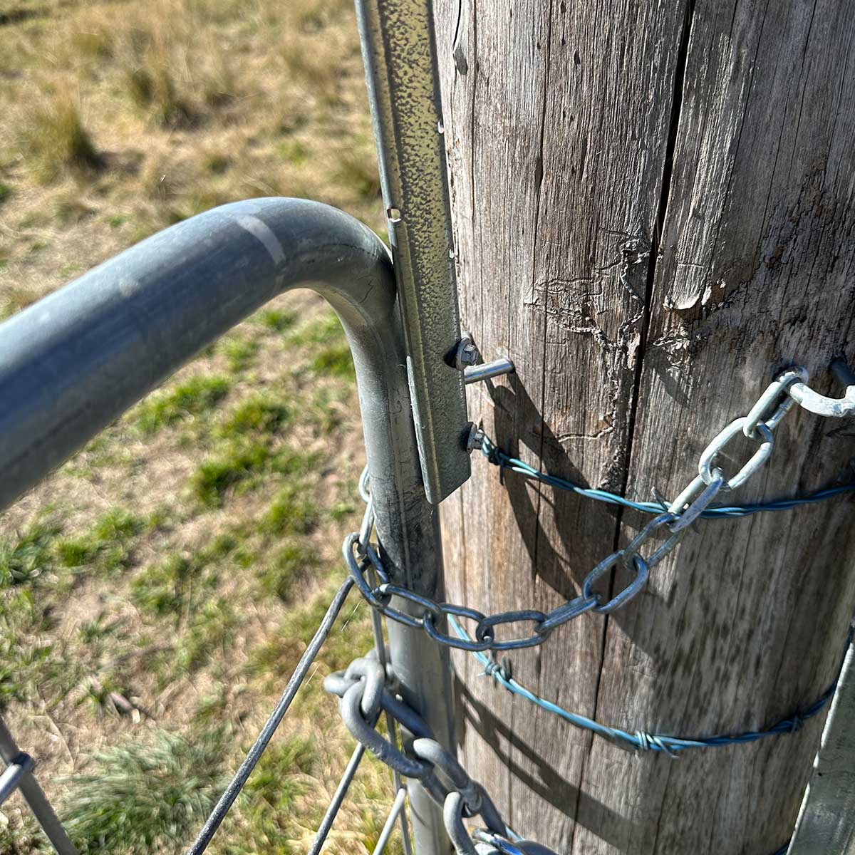 PickeX POLE STAR 900