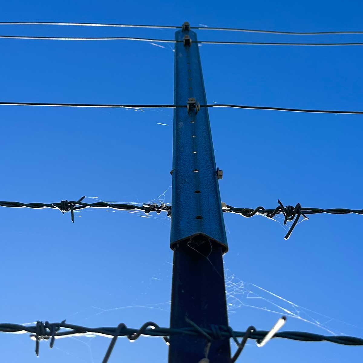 PickeX POLE STAR 900