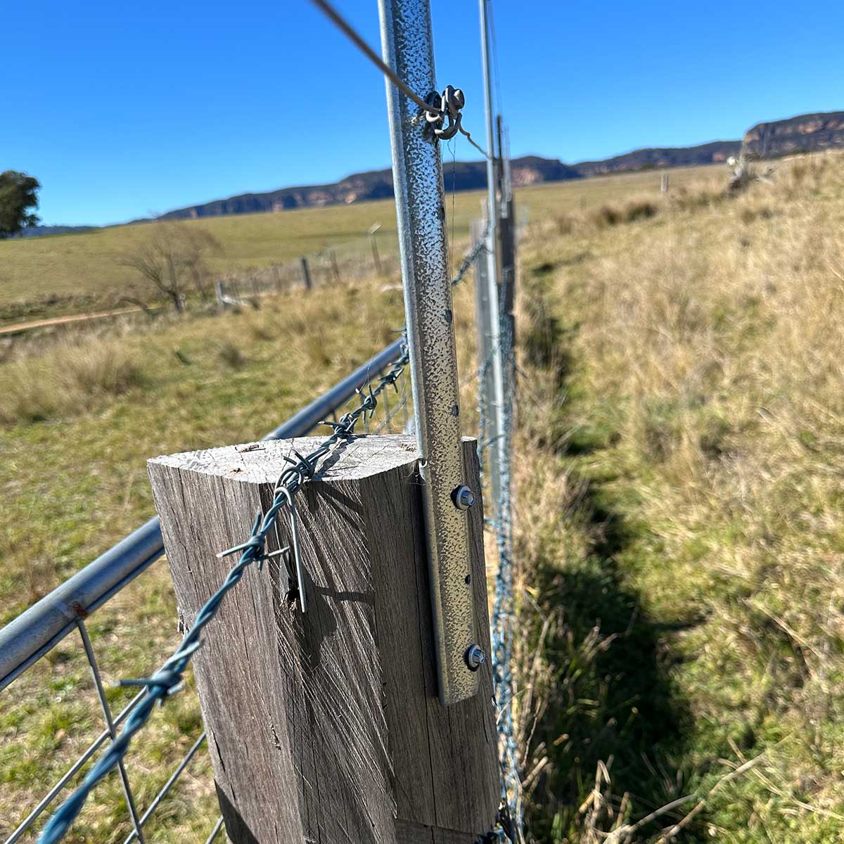 PickeX POLE STAR 600